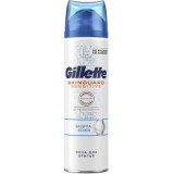 Gillette skinguard sensetive пена для бритья 250мл